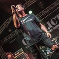 Click to enlarge GutterPunk - Professional Concert Photography